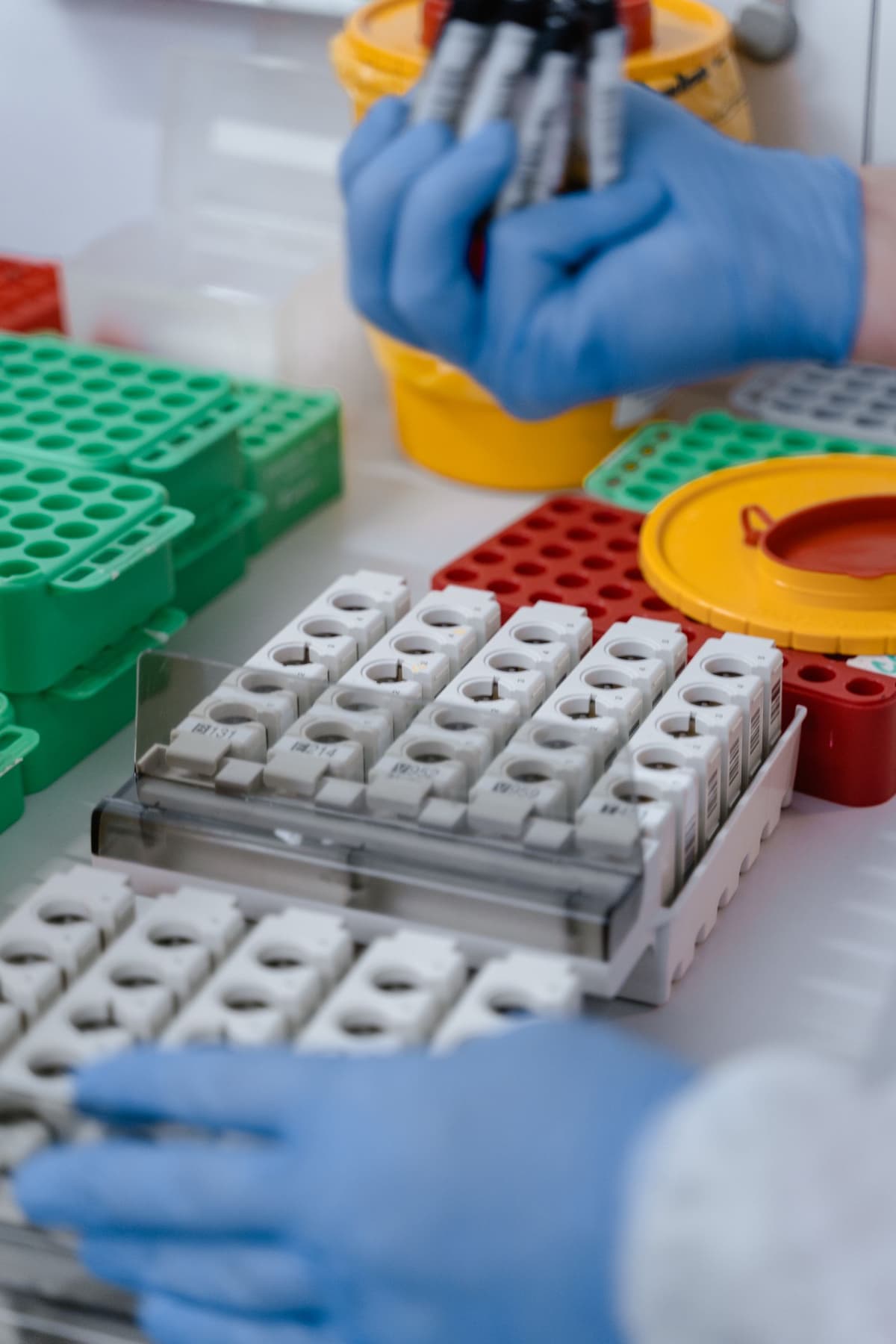 Cervical Cancer Screening Update: Pap, HPV Co-Testing, and Self-Swabs